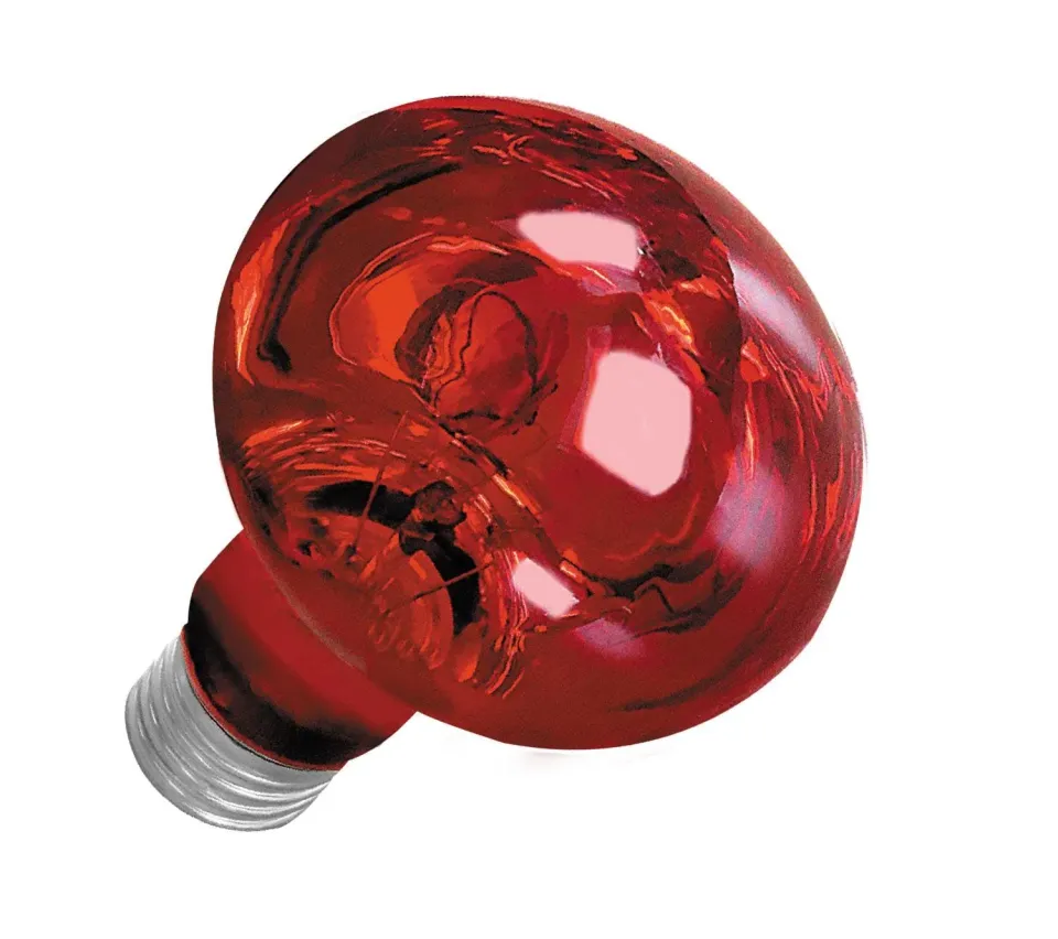 Happet Wärmelampe Rotlicht 25 W E27 Terrariumlampe