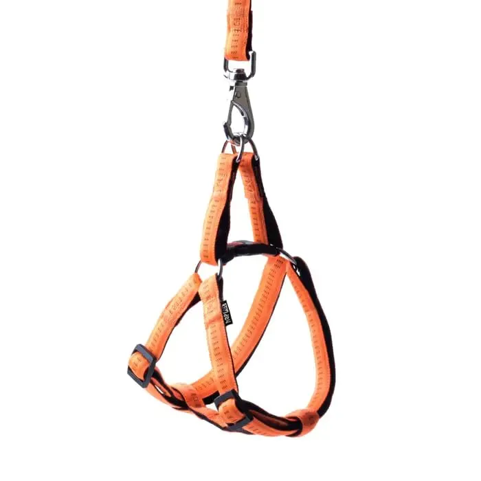 Happet Soft Style Hundegeschirr L 34-59 cm Türkis