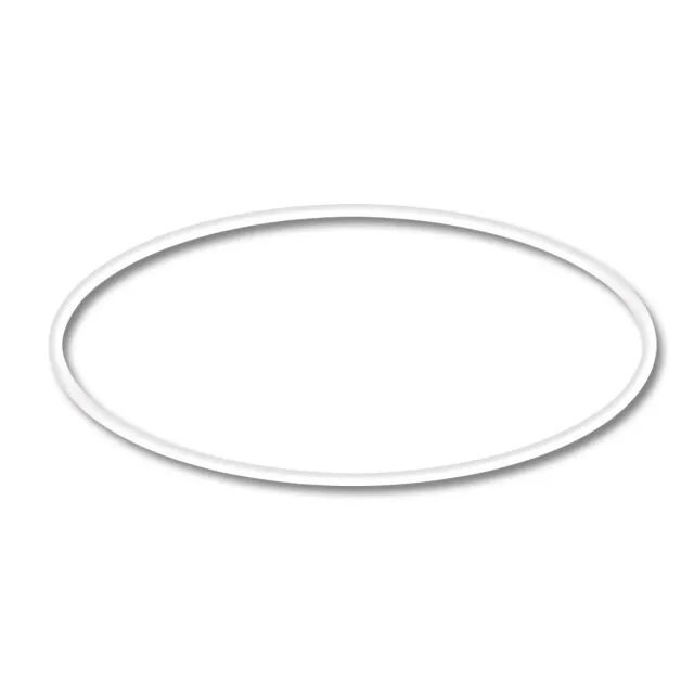 SunSun CPF Ersatzteil O-Ring Fixierung Druckteichfilter