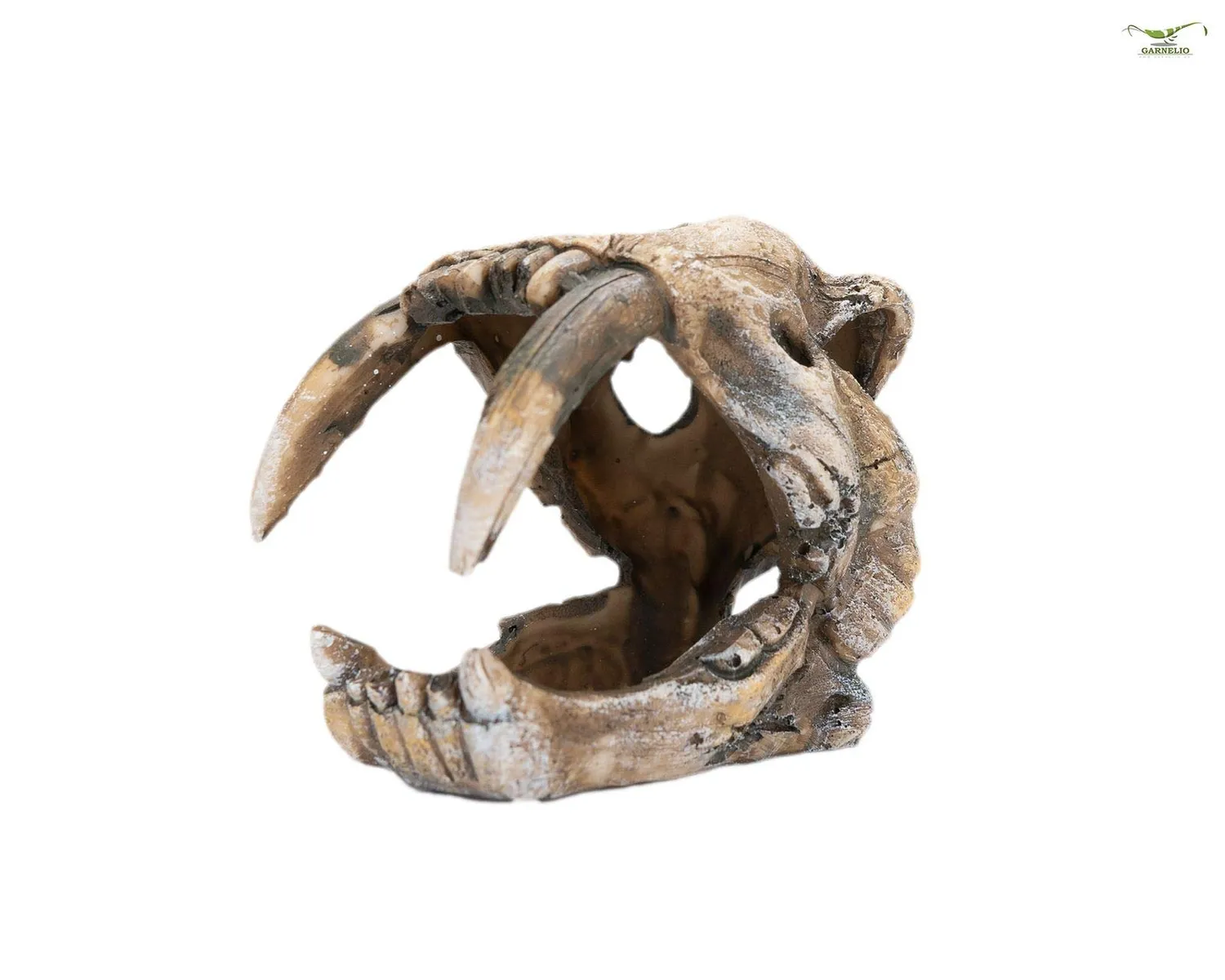 Happet Dino-Skull Aquarium-Deko 5x4x7 cm Polyresin