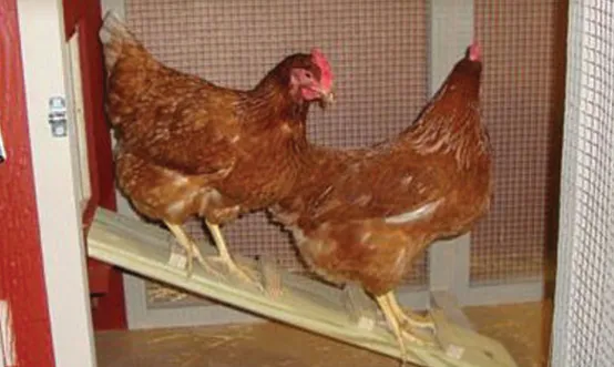 Microbe-Lift Chicken Coop Hühnerstall Reiniger Spray neutral