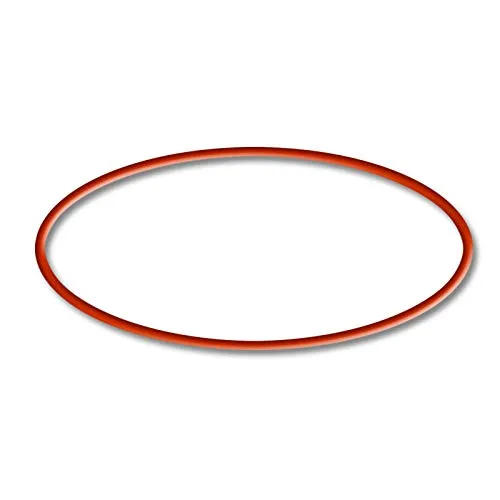 SunSun CBF-200T CBF-200U O-Ring 1 Dichtung