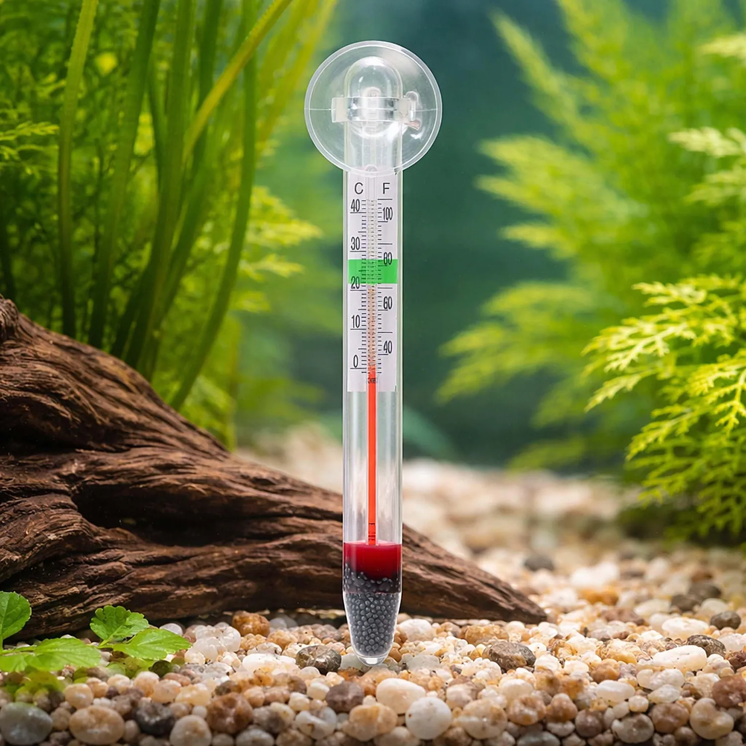 SunSun WDJ-02 Aquarium Thermometer Glas -1 bis 43 °C