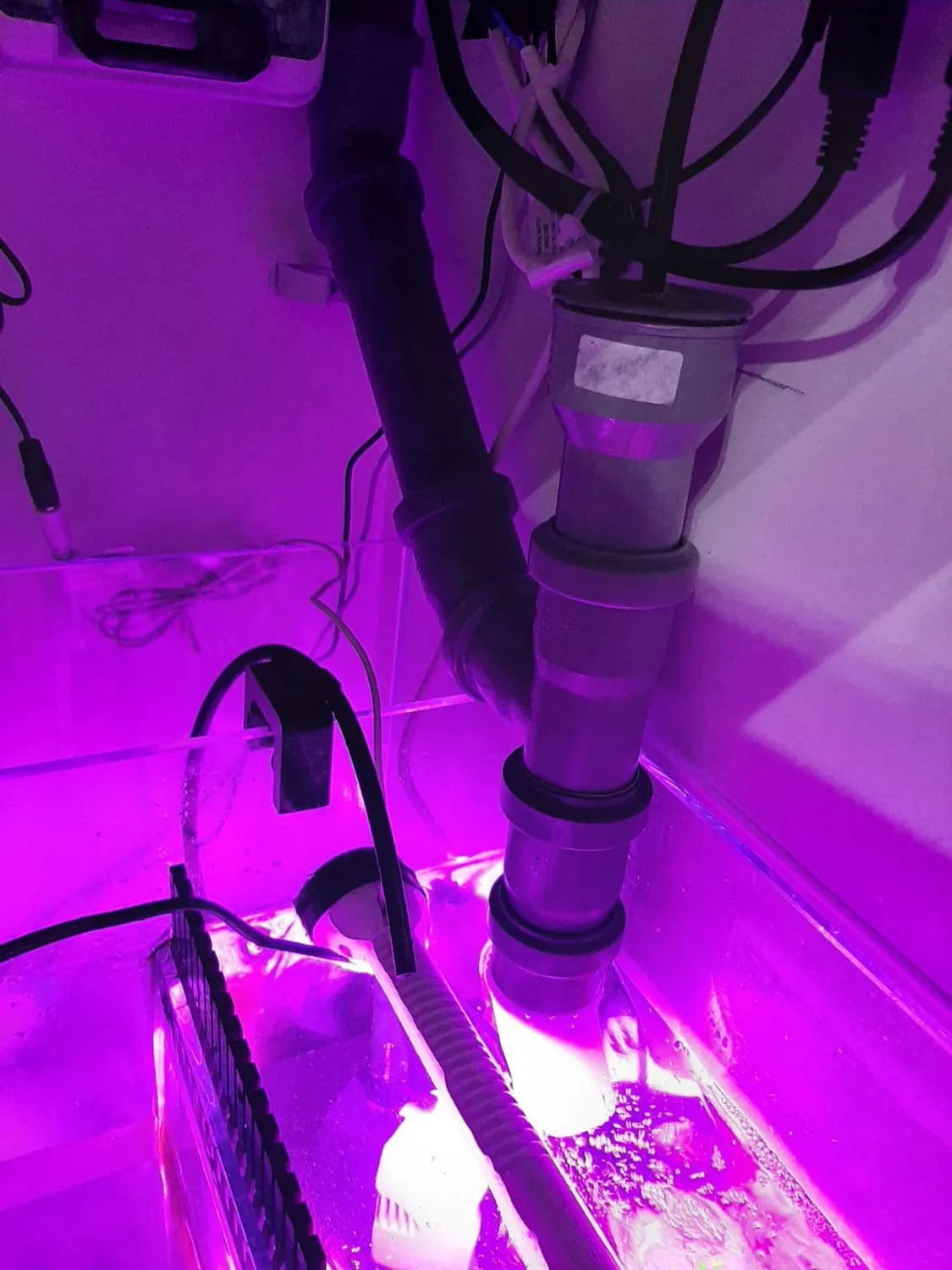 Tunze LED eco chic refugium Pflanzenlicht Unterwasser