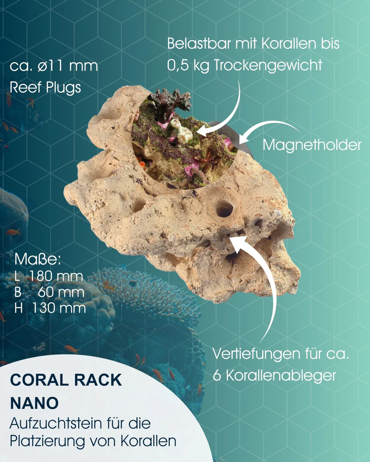 TUNZE Coral Rack Nano Keramikstein 6 Ableger Magnet