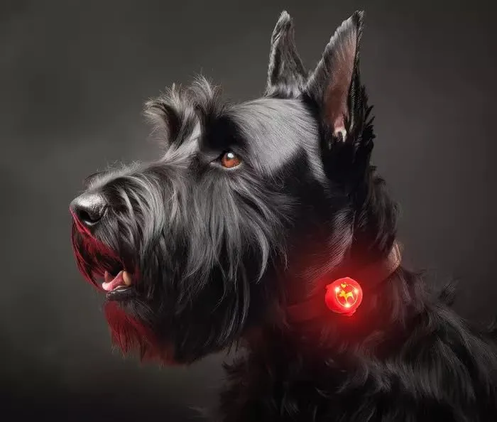 Happet LED-Anhänger Silikon Rot für Hunde Katzen