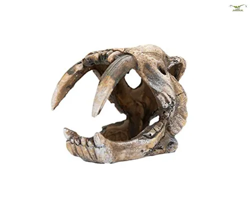Happet Dino-Skull Aquarium-Deko 5x4x7 cm Polyresin