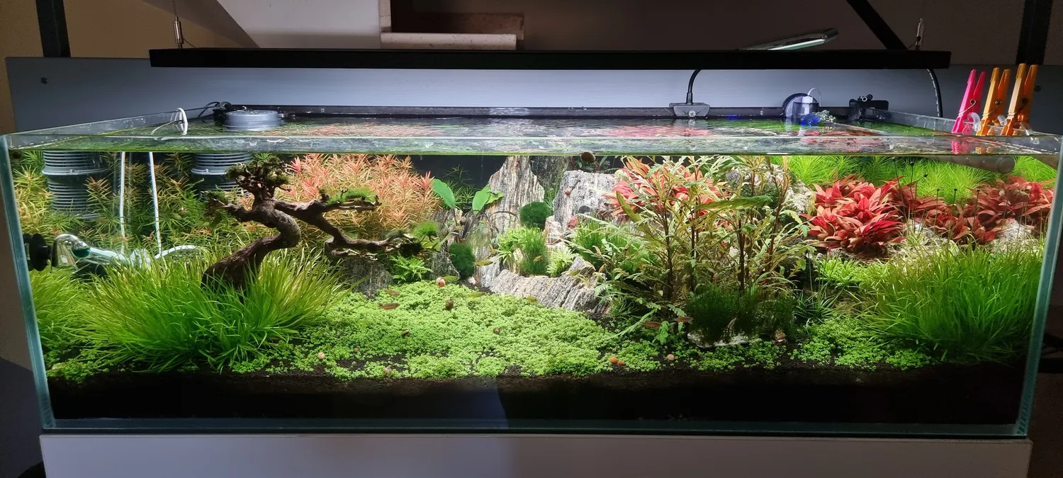 TUNZE Comline Nanofilter 3161 Aquariumfilter 30-100 L