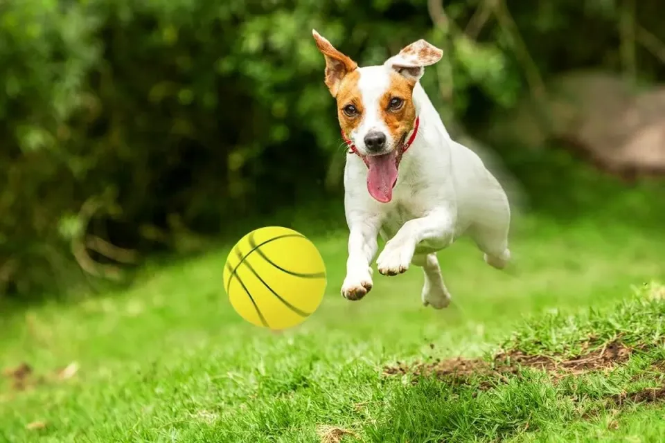 Happet Basketball Hundespielzeug 72mm gelb Schaumstoff weich