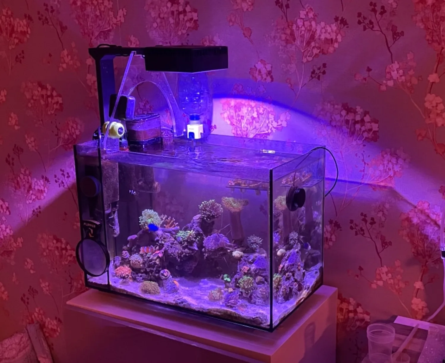 TUNZE Comline Nanofilter 3161 Aquariumfilter 30-100 L