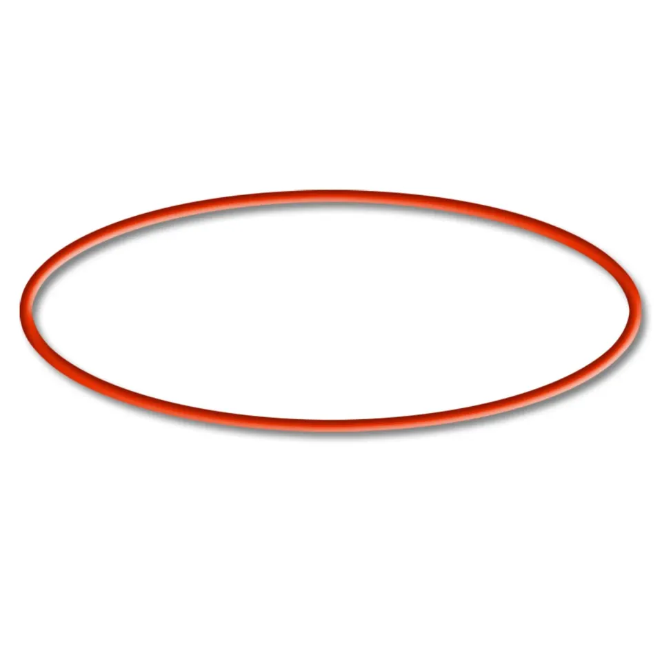 SunSun HW-702B 703B 704B Quarz O-Ring Außenfilter