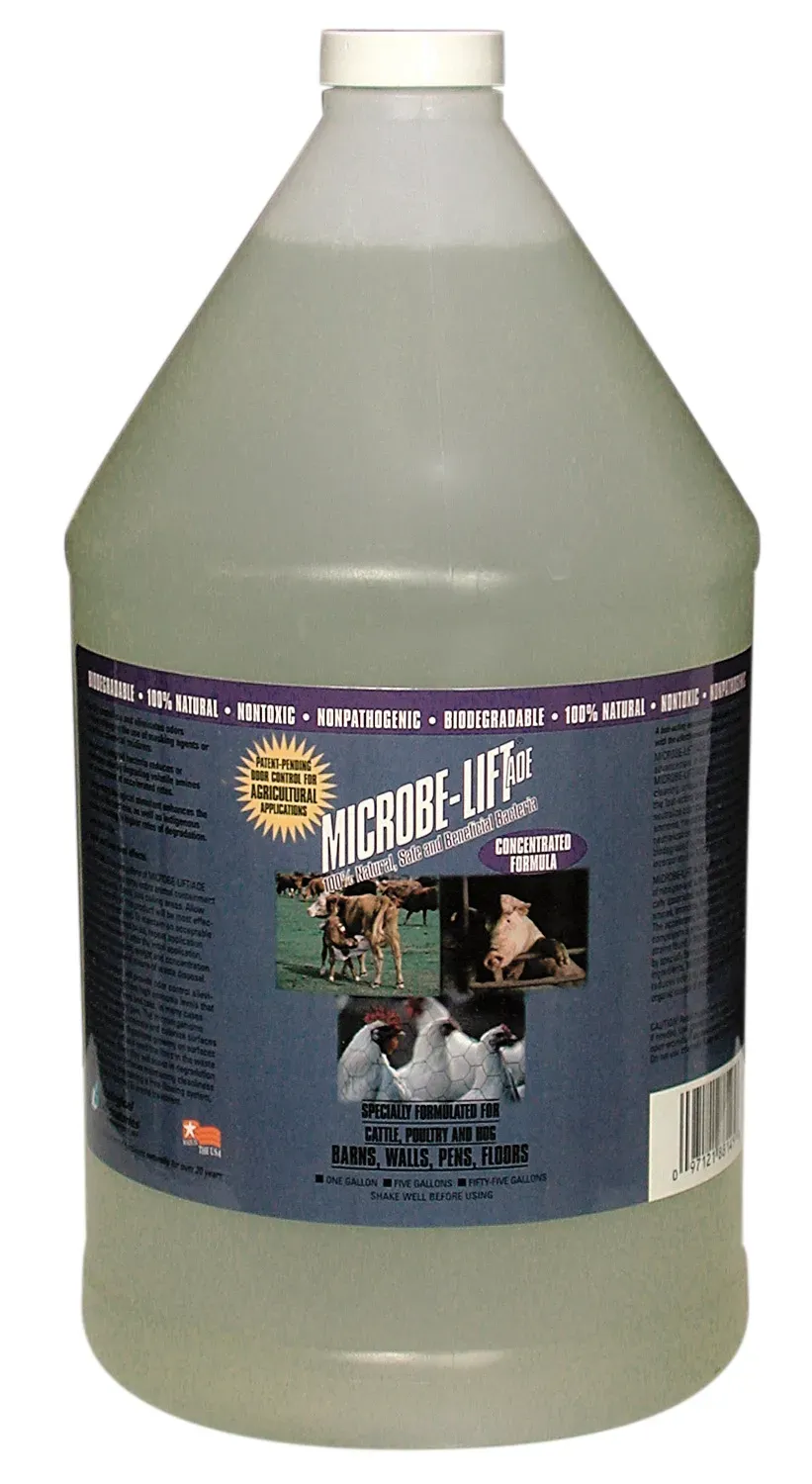 Microbe-Lift AOE Teichpflege Konzentrat Kaltwasser