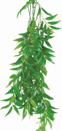 Happet Tradescantia zebrina Hängepflanze 50 cm Terrarium