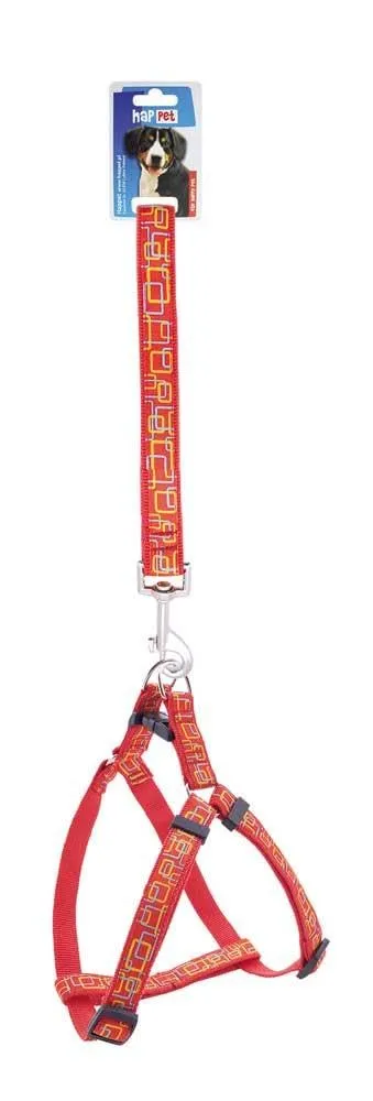 Happet Gassi Set 2 cm Grün Glatt Leine Halsband