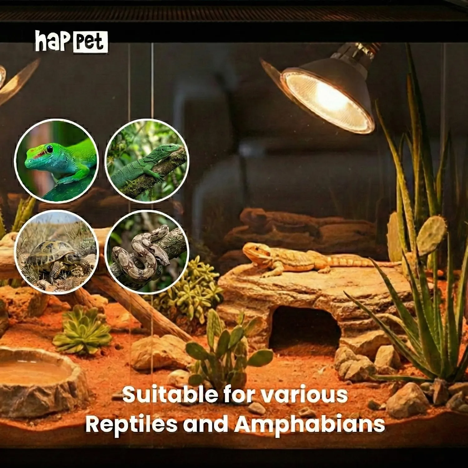 Happet Terrarium Wärmelampe 35W E27 UVA Sonnenplatz