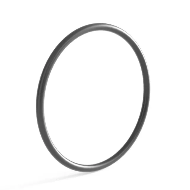 SunSun CUV-172 O-Ring 2 Dichtung Ersatzteil