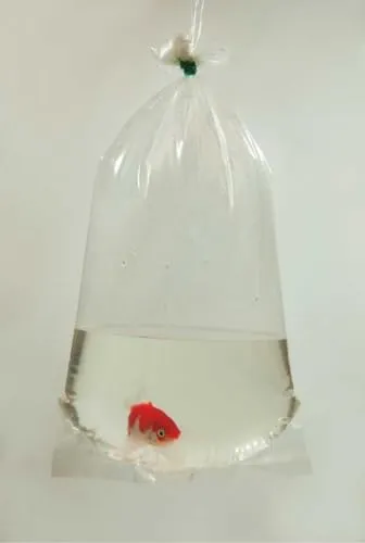 Happet Fischtransportbeutel 14x40 cm transparent 100 Stück