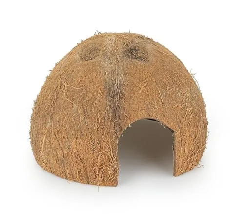 Happet Kokosnuss 1/2 Versteck ungebürstet 6 Stück 11 cm natürlich