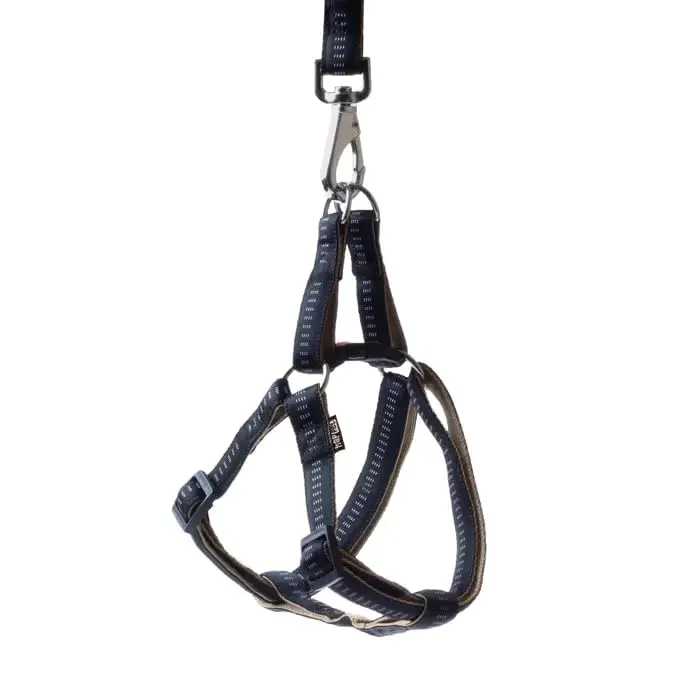 Happet Soft Style Hundegeschirr L 34-59 cm Türkis