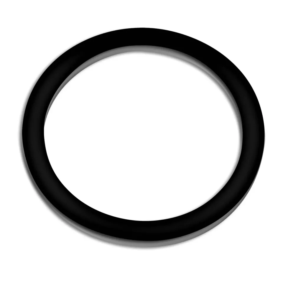 SunSun CBF-350B Dichtung Ersatzteil für Teichfilter
