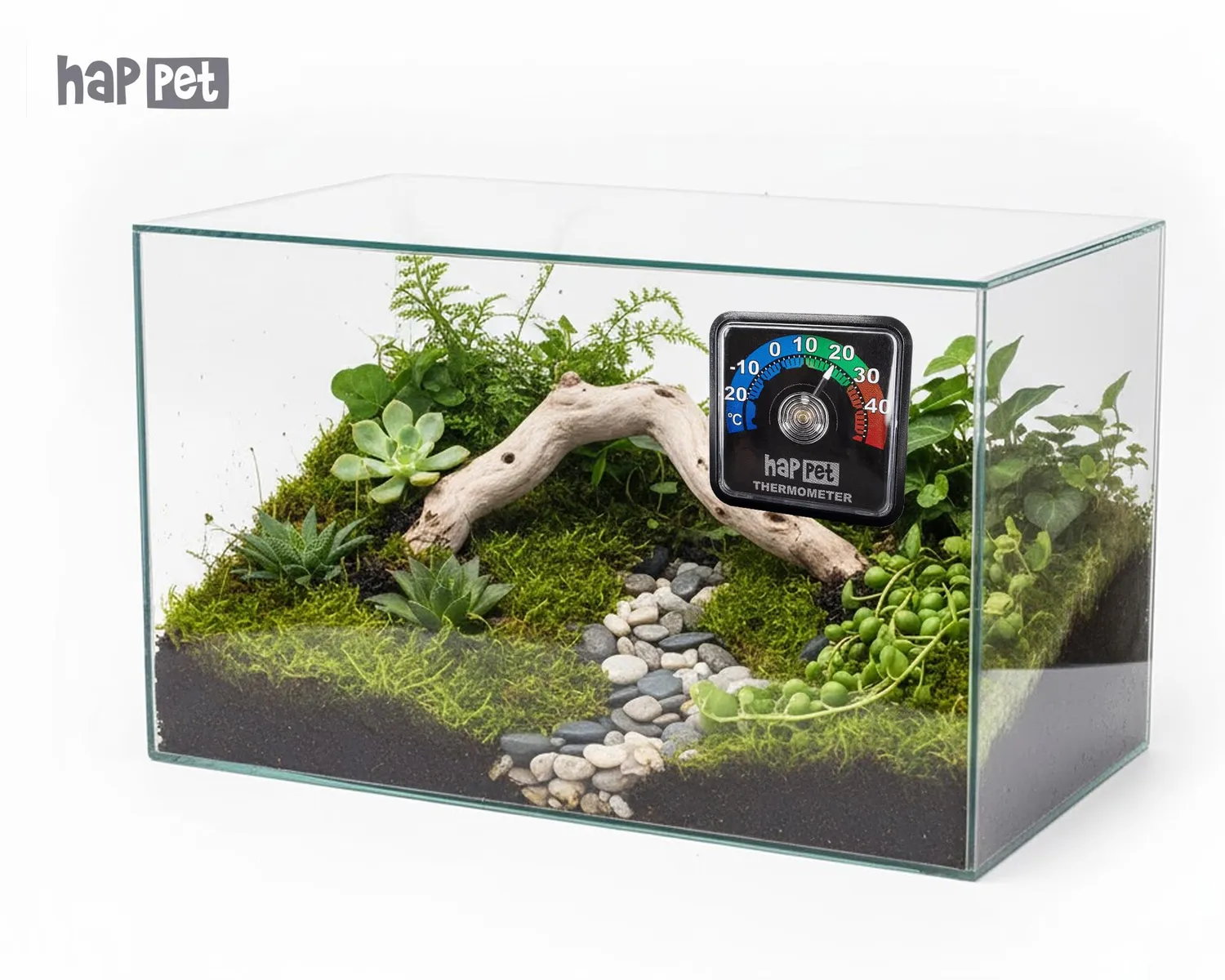 Happet Analog Thermometer -20 bis 50°C Terrarium 5x5x2 cm