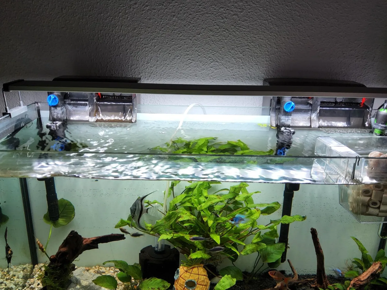 SunSun CBG-500 Hang On Filter Aquarium 500 l/h 115 L
