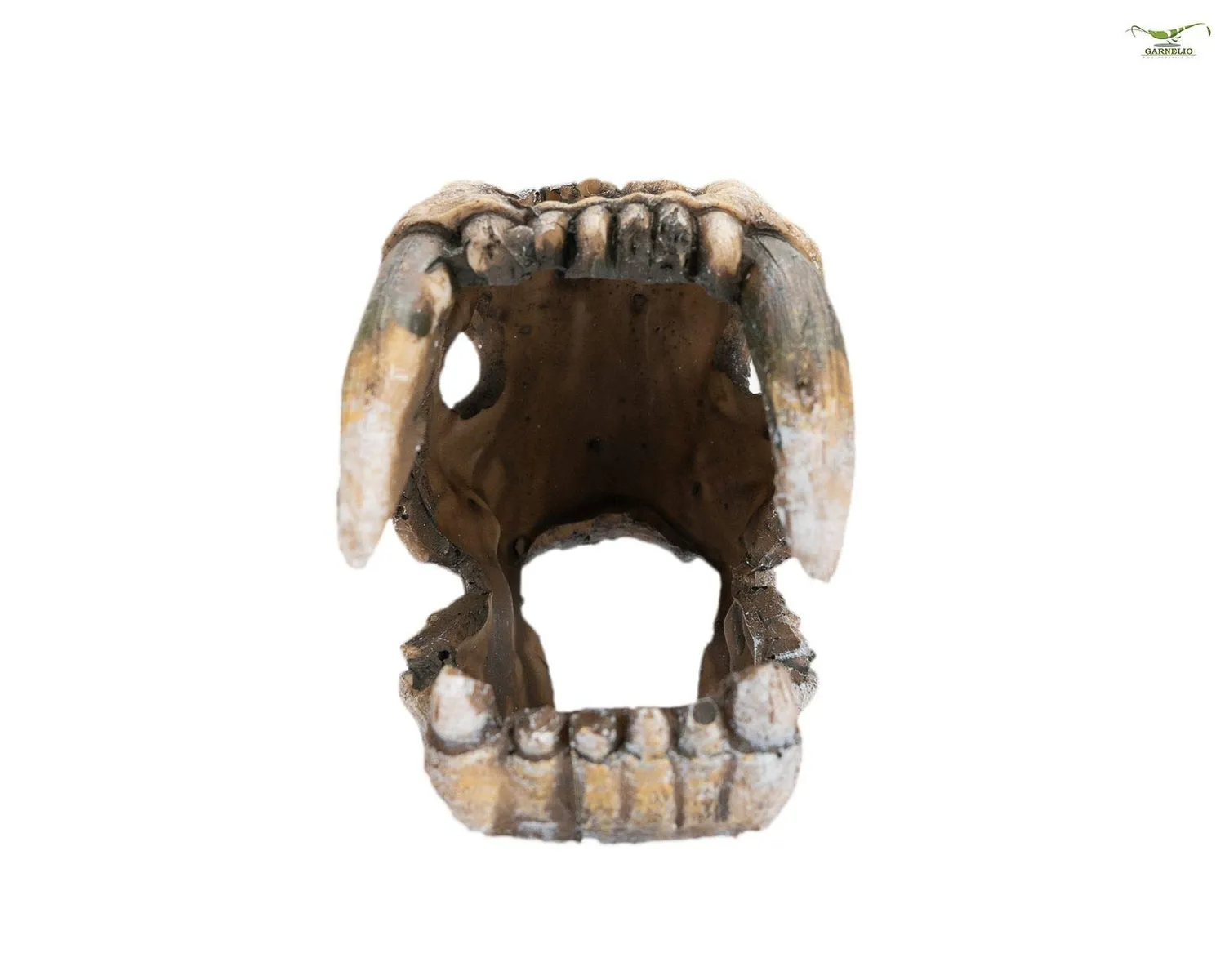 Happet Dino-Skull Aquarium-Deko 5x4x7 cm Polyresin