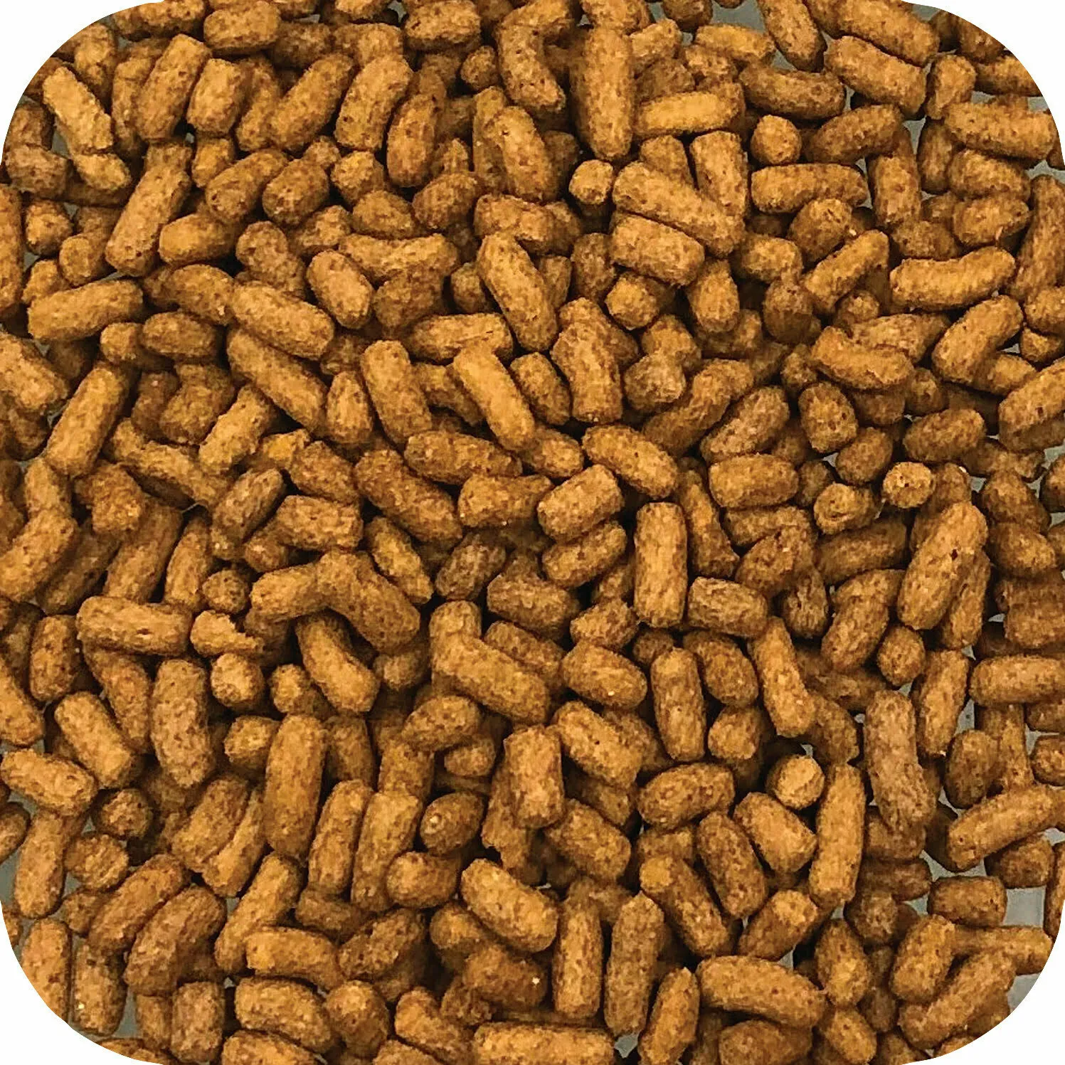 Microbe-Lift Legacy Immuno Food Teichfutter immun