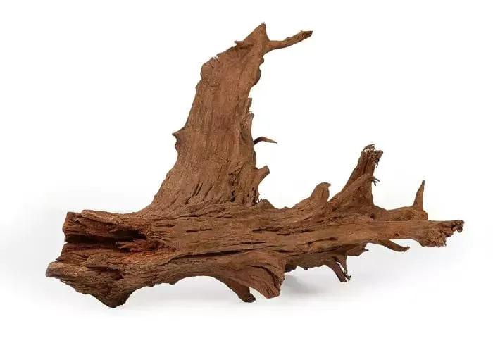Happet Mangrovenwurzel XL Wurzelholz ca. 100 cm natur