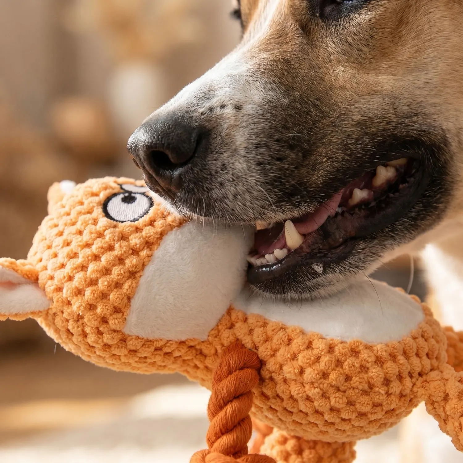 Happet Fuchs Klein Hundespielzeug Plüsch orange