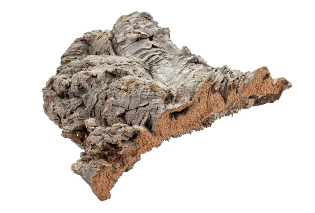 Happet Korkplatten Terrarium Deko 1 kg Naturkork