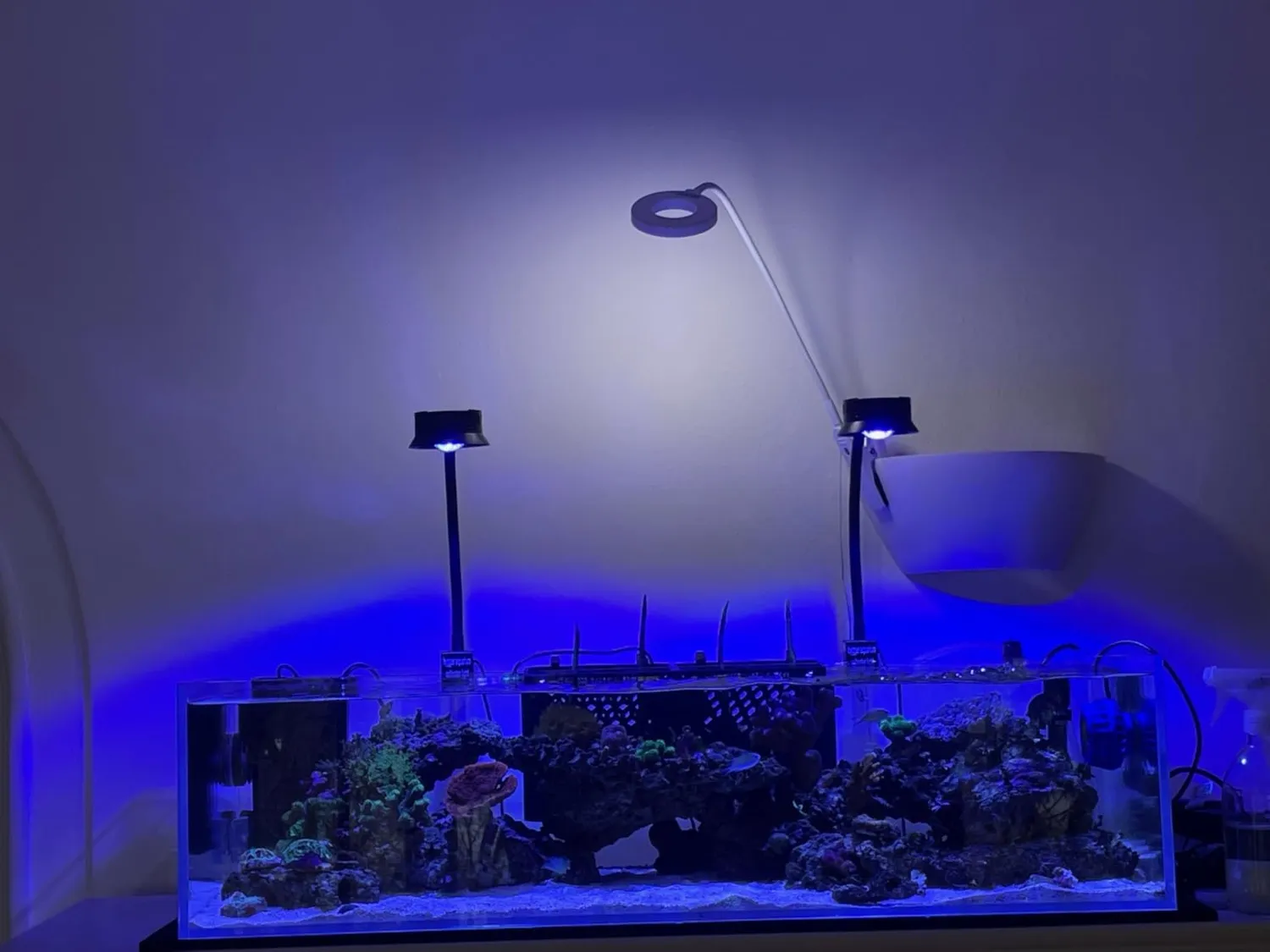 TUNZE Comline Nanofilter 3161 Aquariumfilter 30-100 L