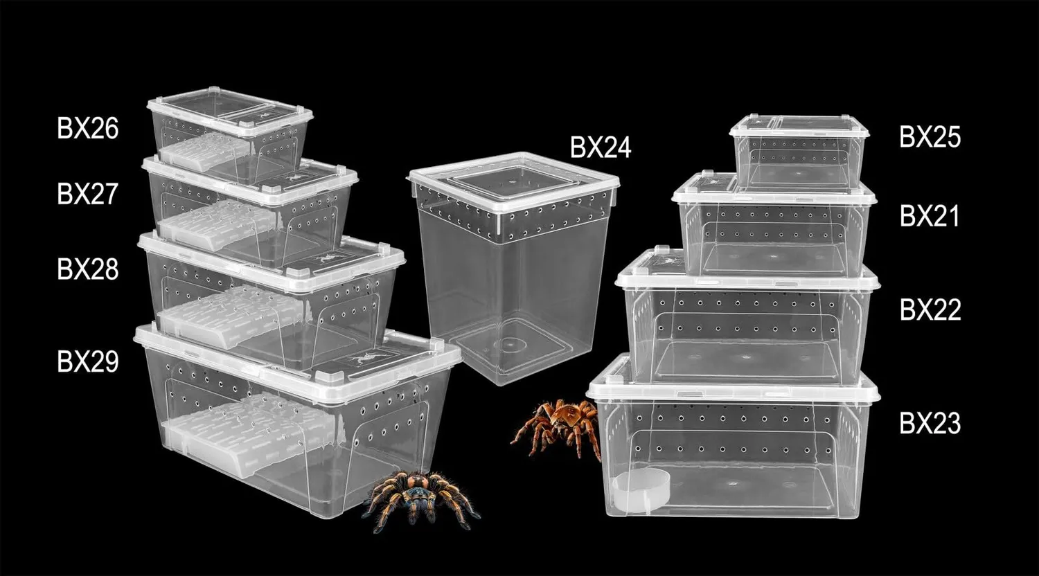 Happet Breeding Box Terrarium 27 cm mit Plattform Deckel