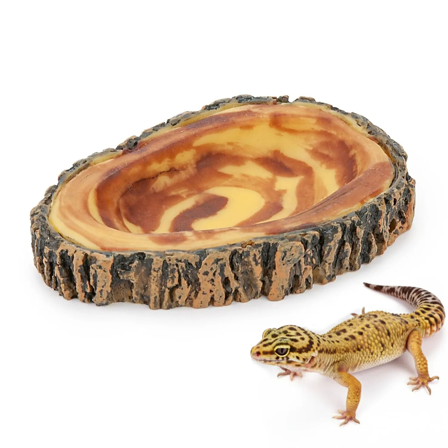 Happet Tiefer Napf 25 cm Terrariumschale Steinoptik