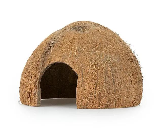Happet Kokosnuss 1/2 Versteck ungebürstet 6 Stück 11 cm natürlich