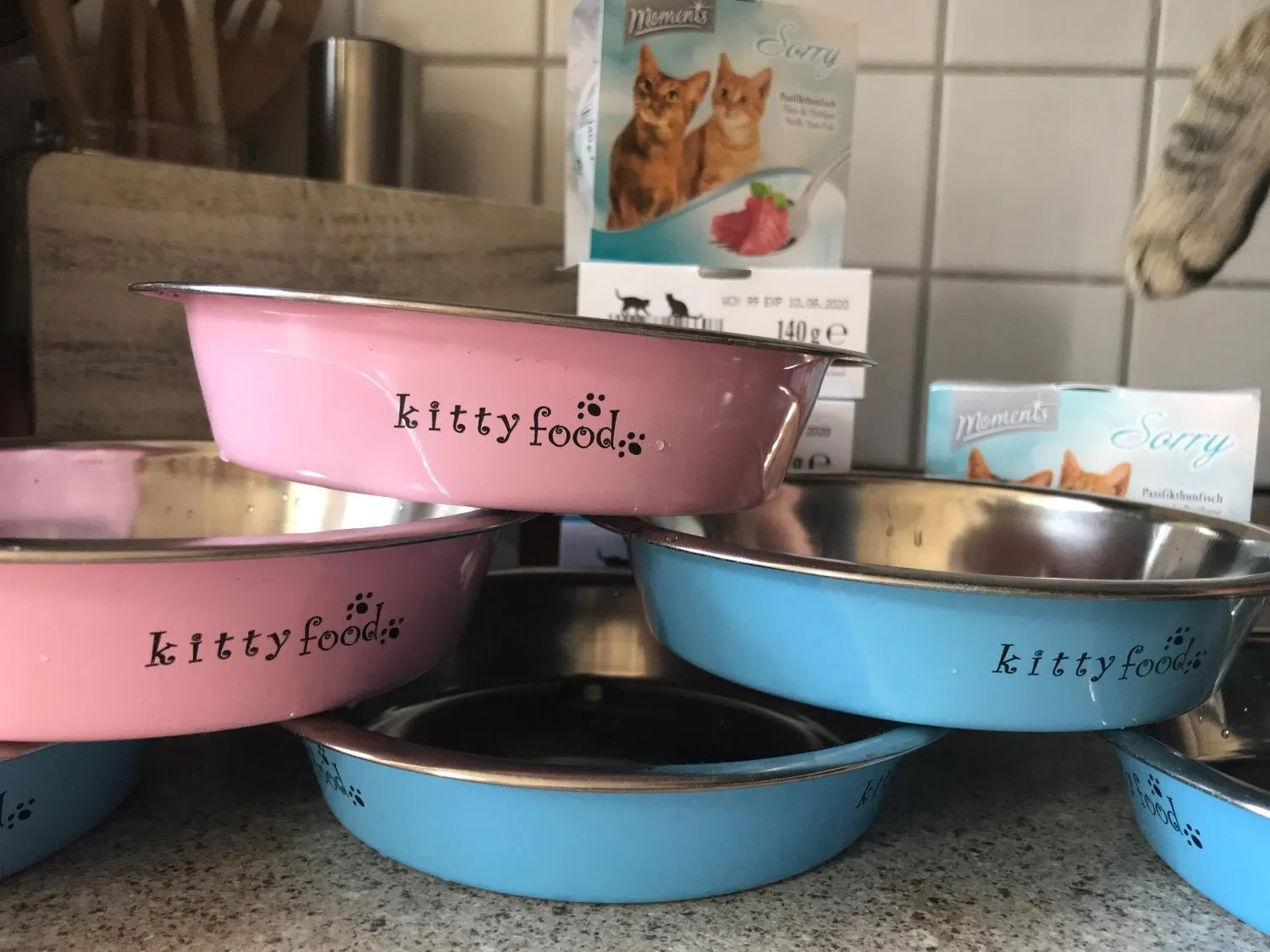 Happet Katzennapf Edelstahl Napf blau flach