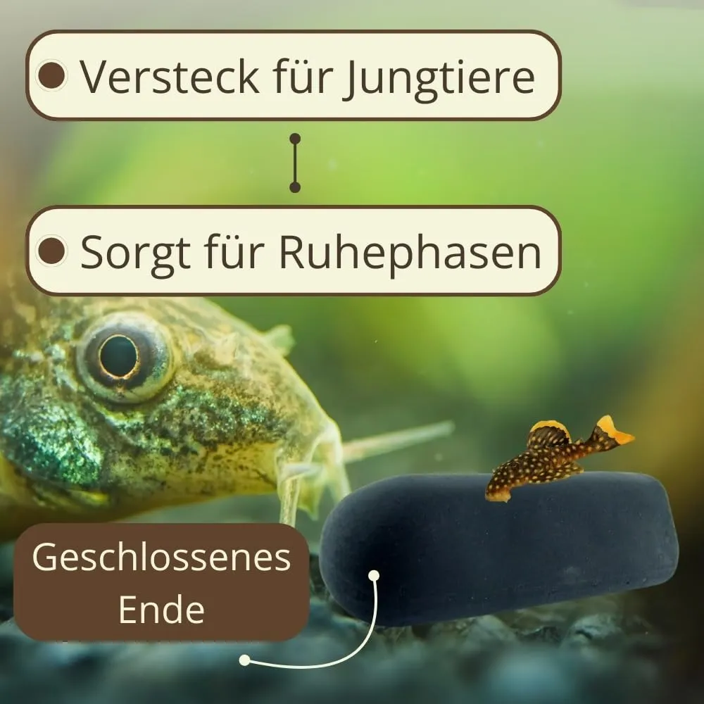 Happet Welsröhre Aquarium Höhle schwarz Ton geschlossen