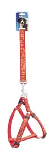 Happet Gassi Set 2 cm Grün Glatt Leine Halsband
