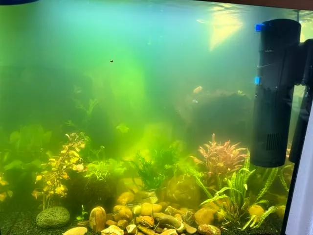 SunSun CUP-809 Innenfilter 700 l/h 9 W UV mit UVC-Klärer