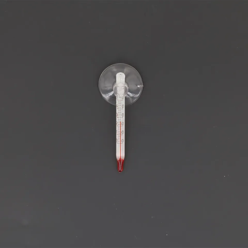 Aqua-Noa Mini Thermometer Glas 6 cm