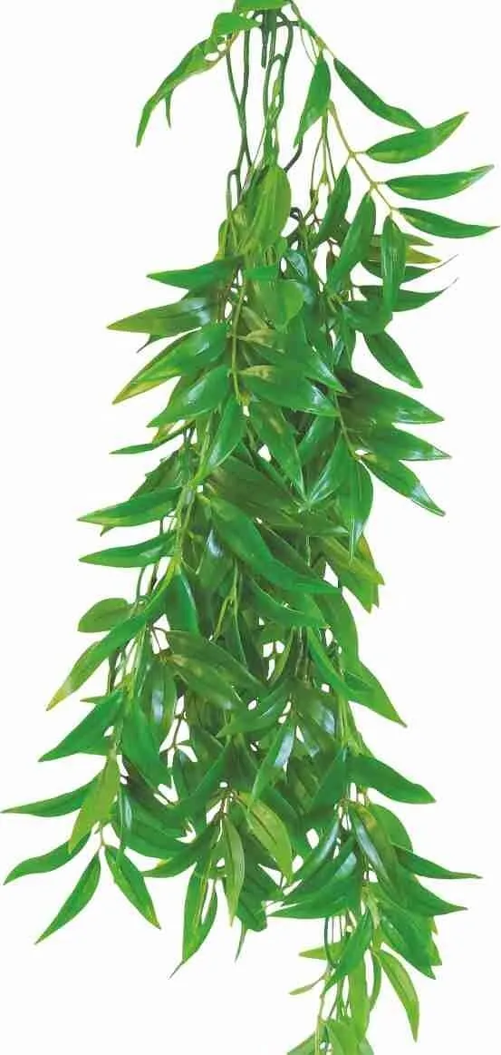 Happet Tradescantia zebrina Hängepflanze 50 cm Terrarium