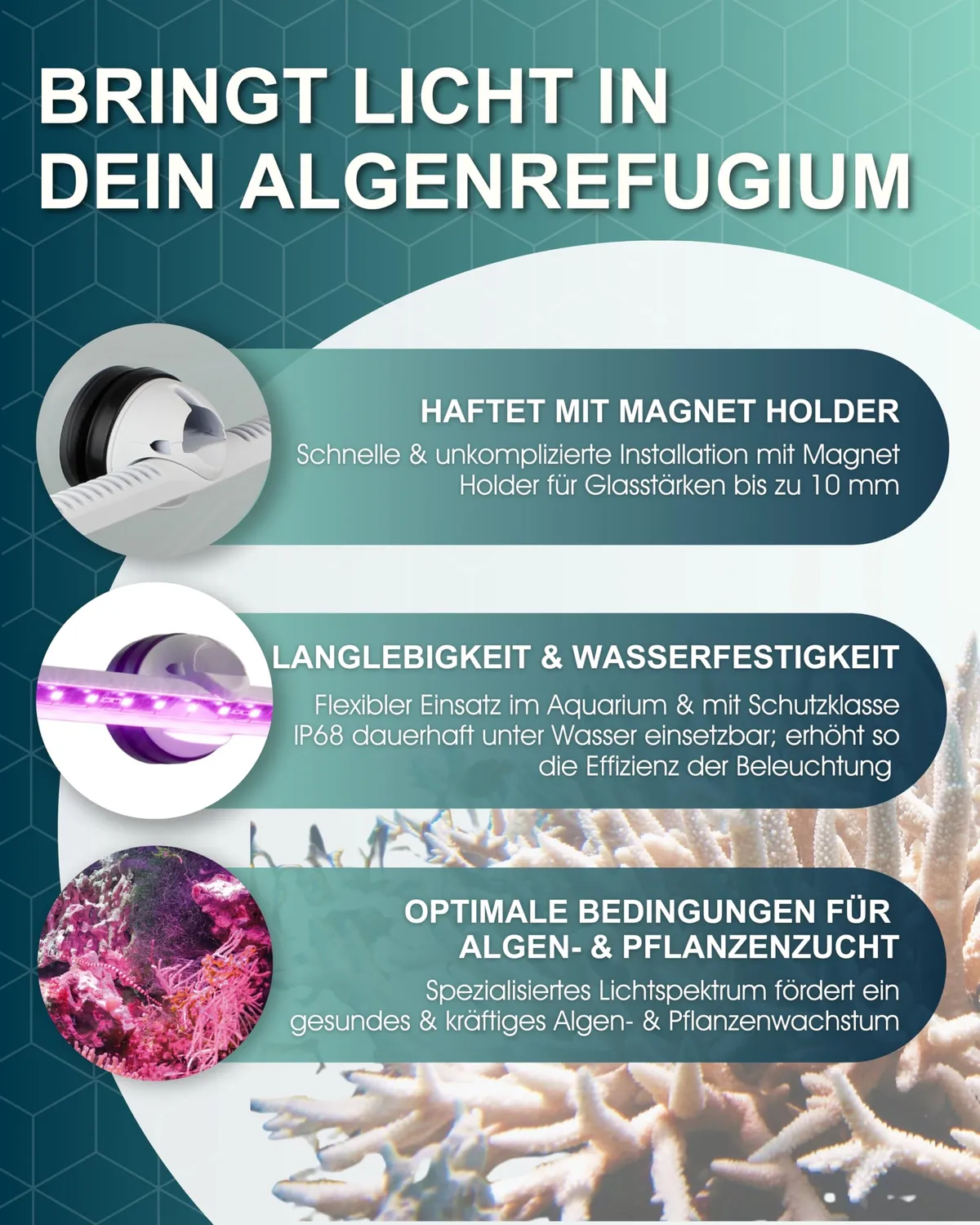 Tunze LED eco chic refugium Pflanzenlicht Unterwasser