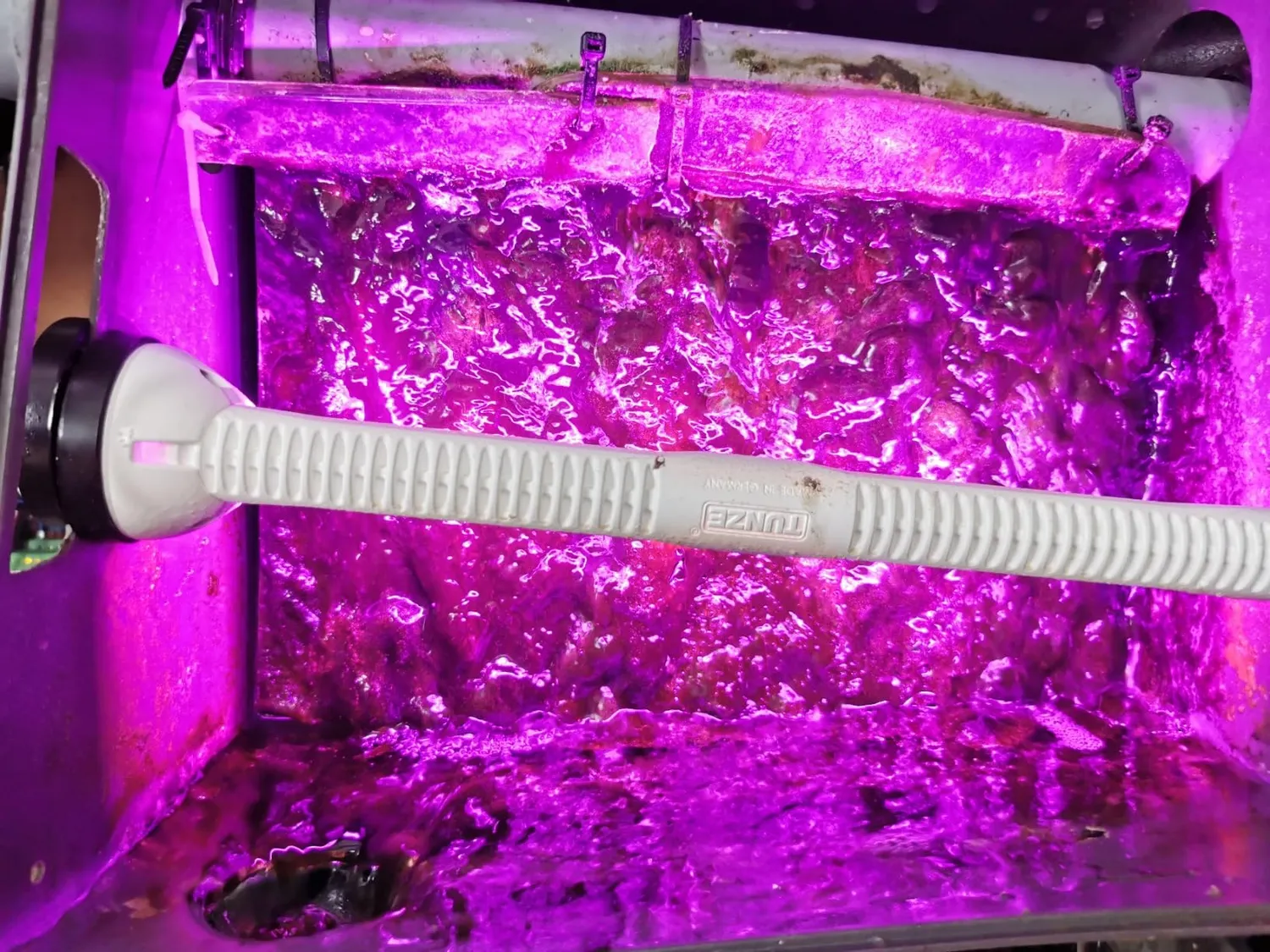 Tunze LED eco chic refugium Pflanzenlicht Unterwasser