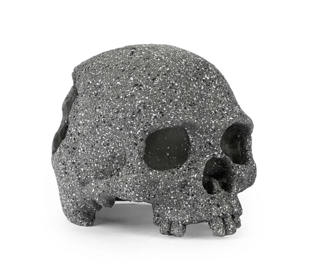 Happet Graphitschädel Terrarium-Deko 15 cm Harz Höhle