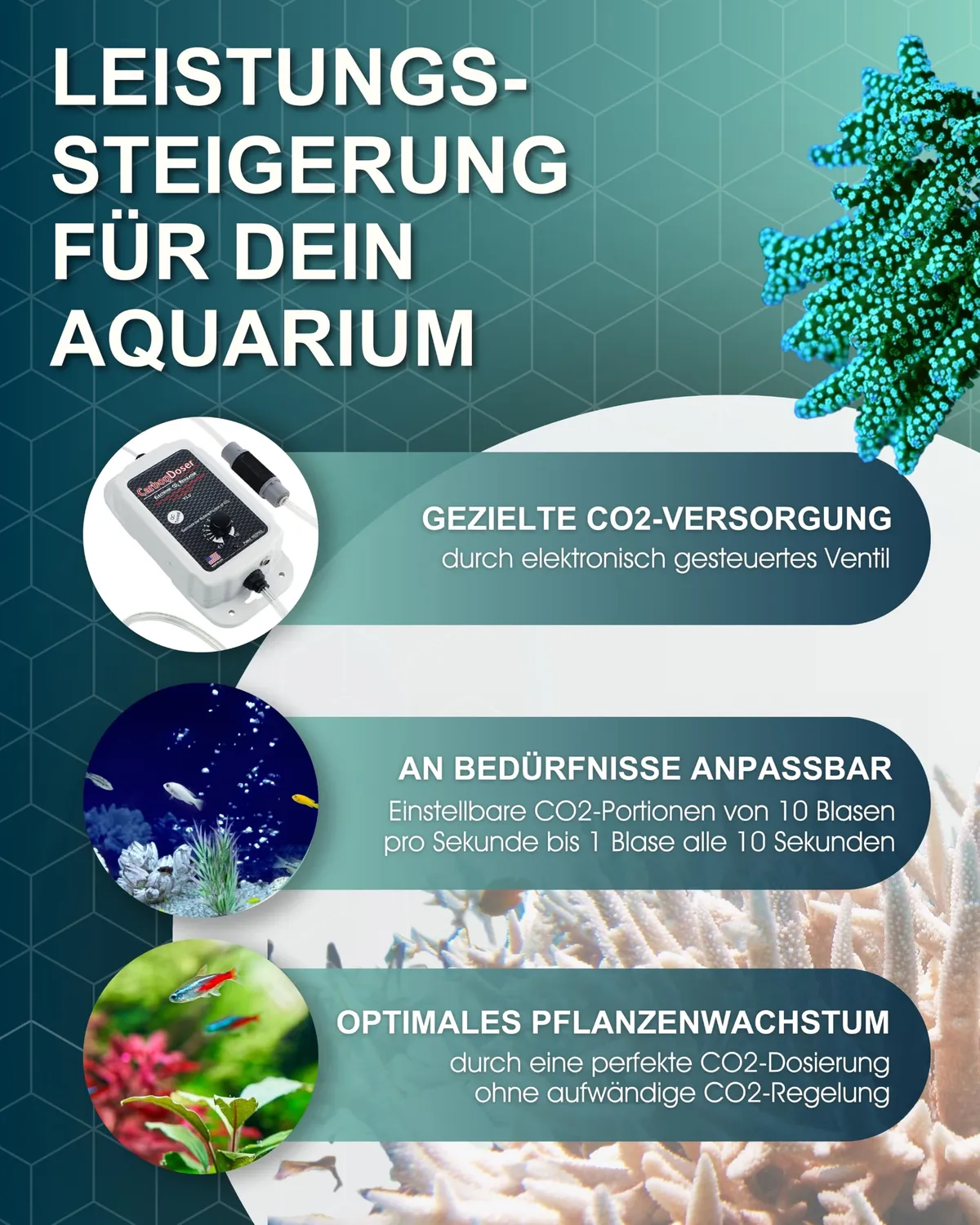 Tunze Comline CarbonDoser CO2-Dosierer elektronisch