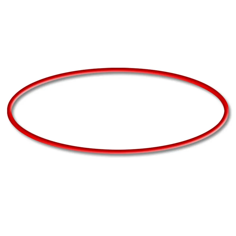 SunSun CUV O-Ring 2 Teichklärer Dichtung für 300er/600er