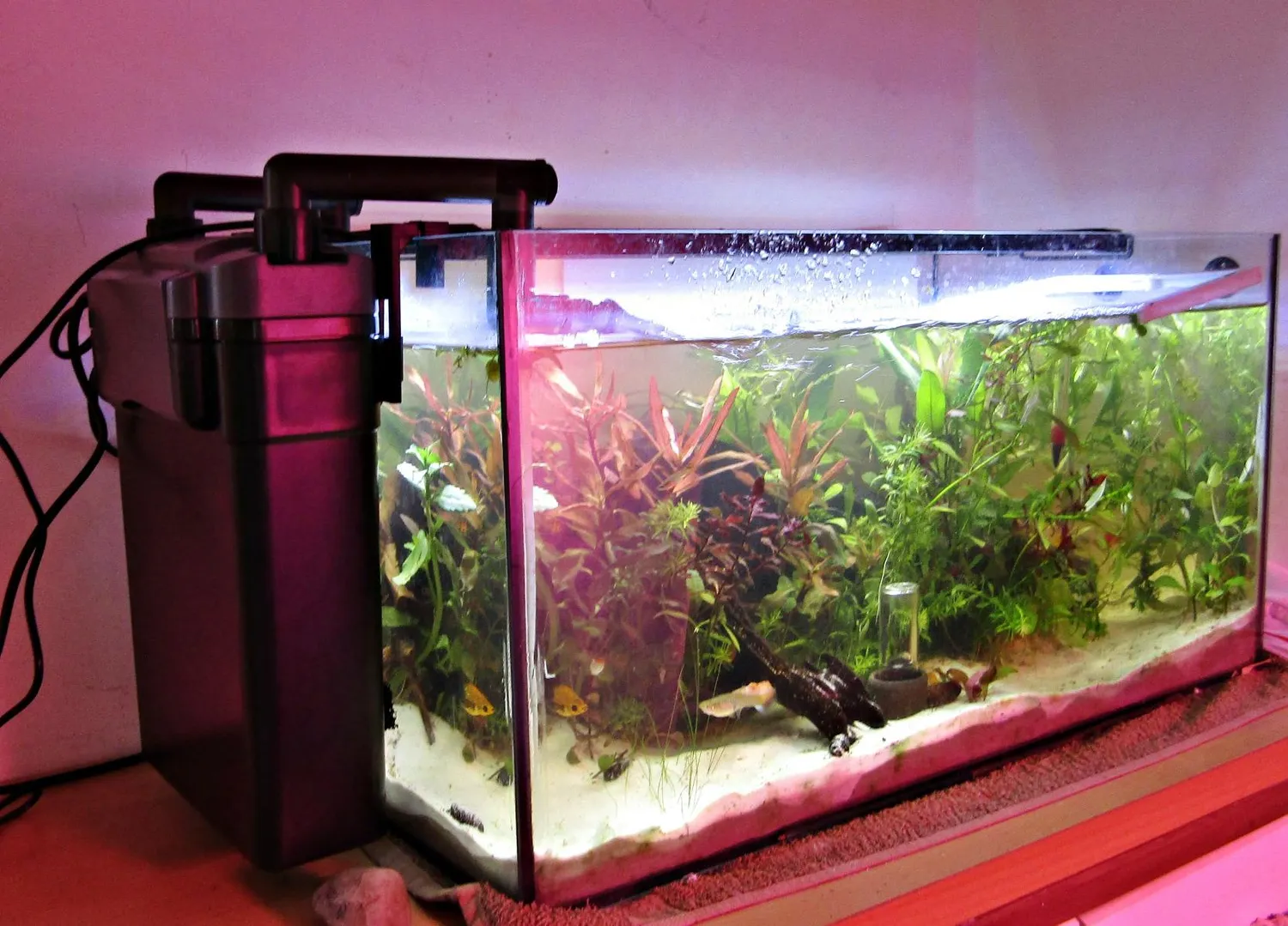 SunSun HBL-803 Anhängefilter 500 l/h für 150 Liter