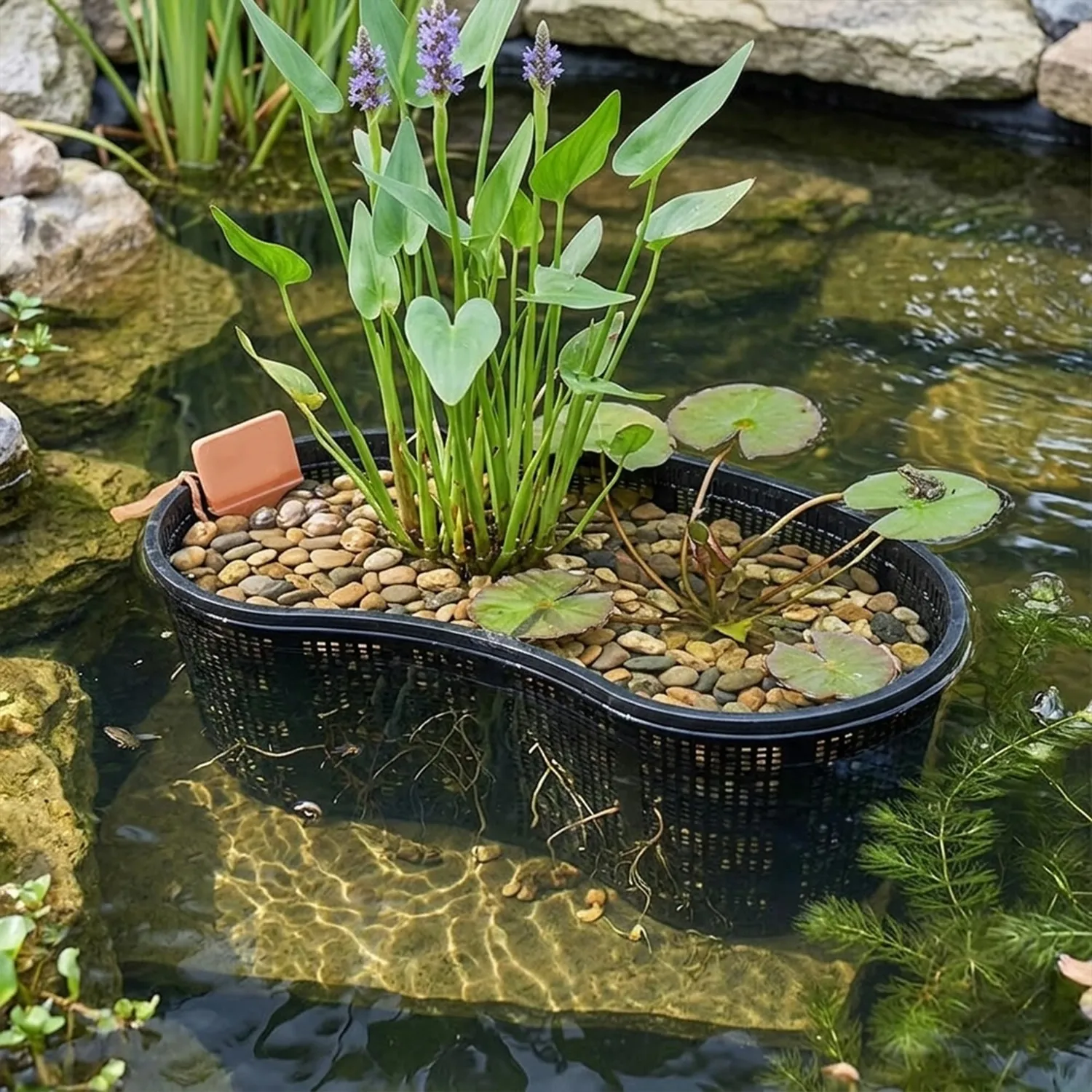 Happet Wasserpflanzenkorb 40 cm Nierenform schwarz