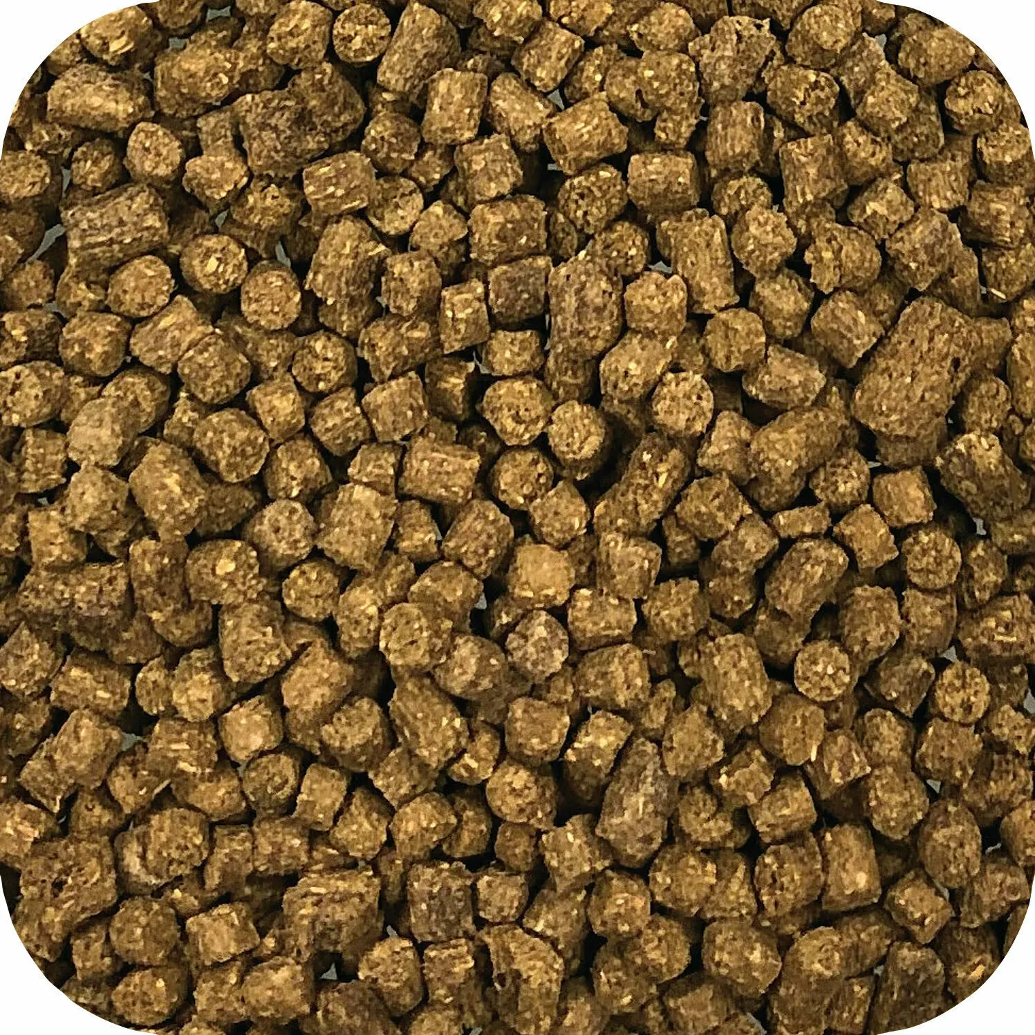 Microbe-Lift Legacy Sinking Food Pellets Teichfutter sinkend