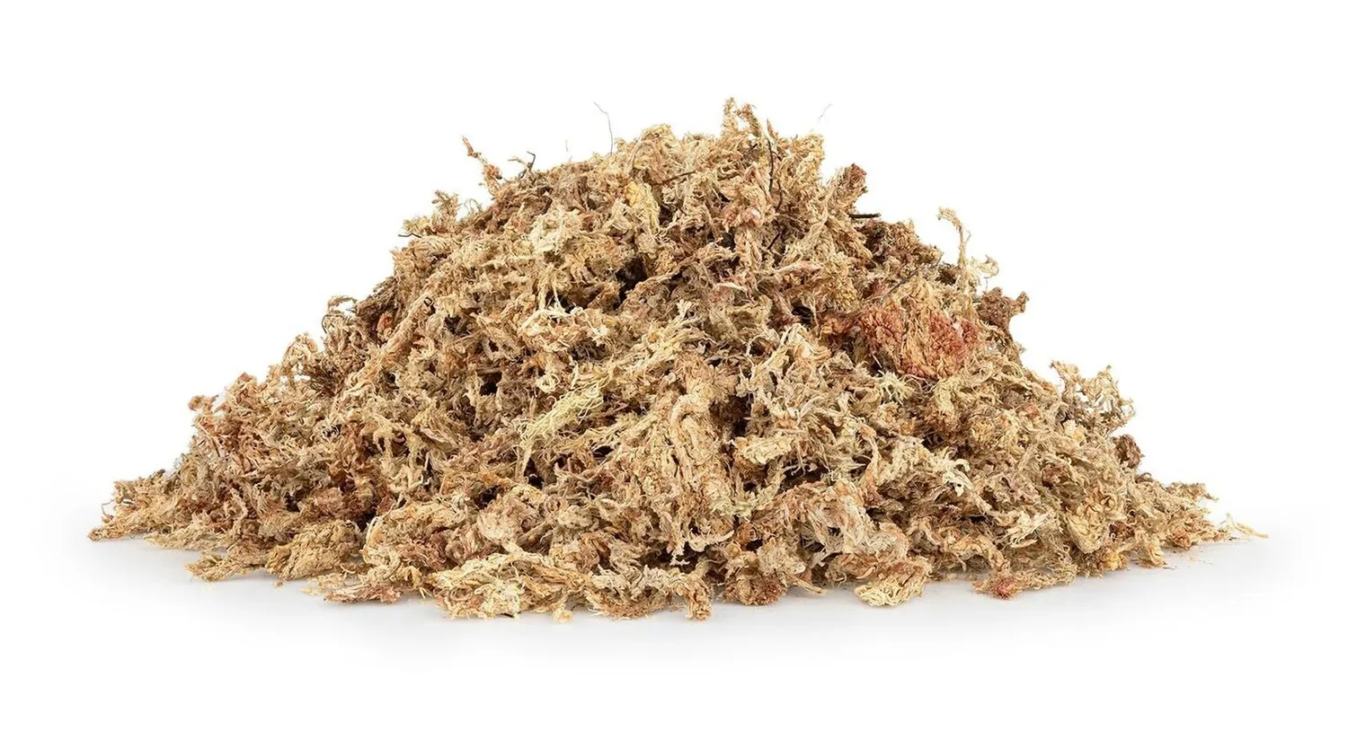 Happet Sphagnum Moos 1 kg Terrariumsubstrat feuchtigkeitsspeichernd